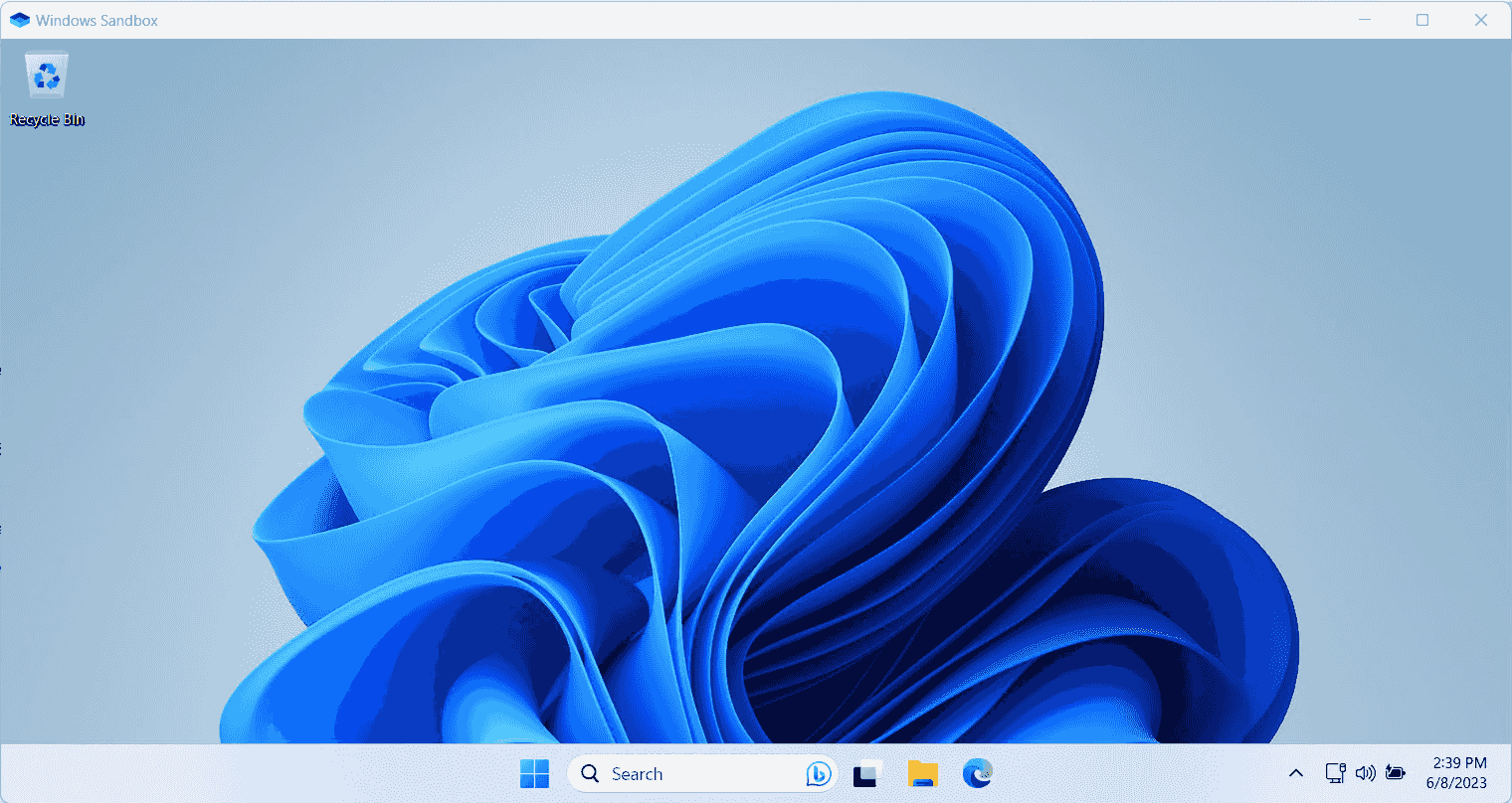 Windows Sandbox environment launched
