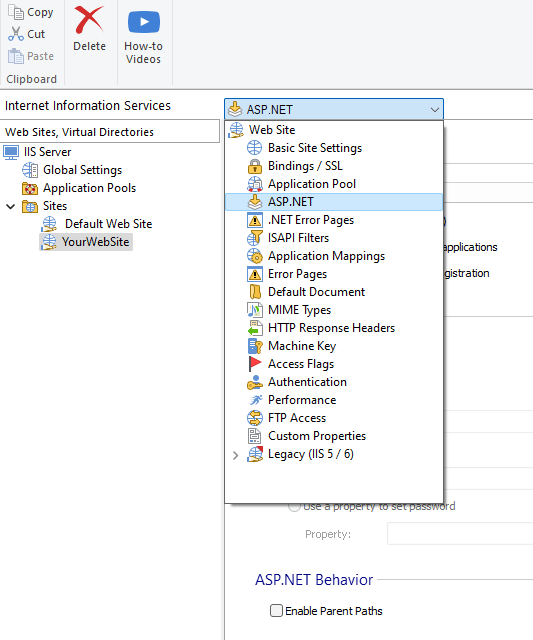 How to set the Version for a Website or Application