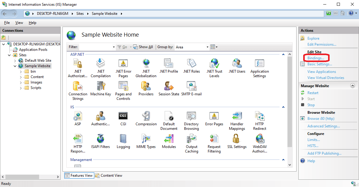 IIS Manager Bindings