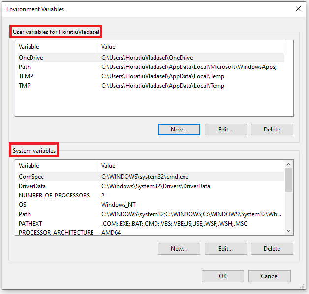 cmd.exe: Show/Set Environment Variable