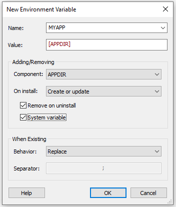 Set Up System Variable