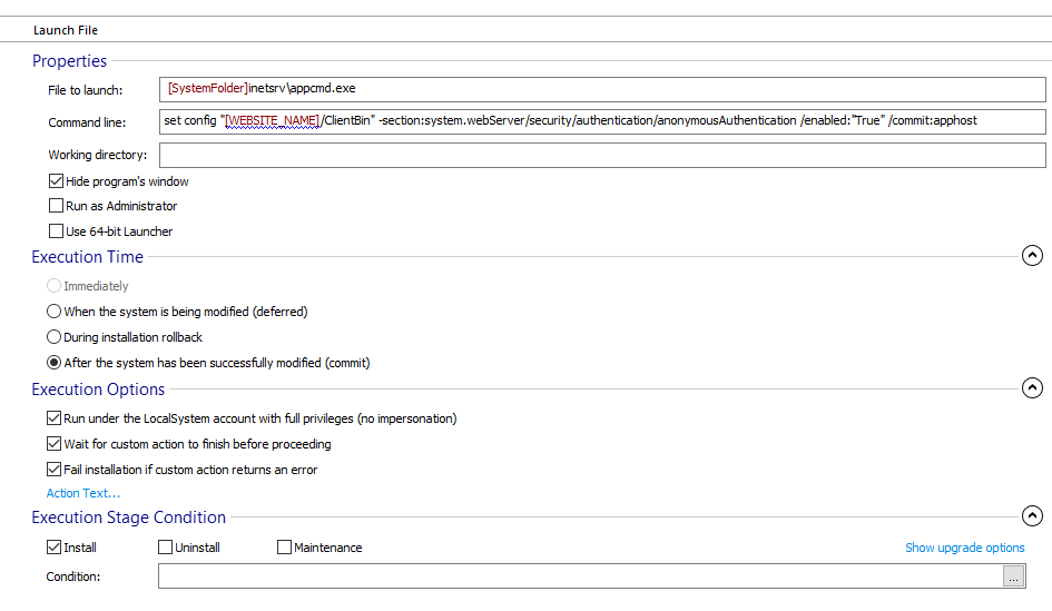 advanced installer command line parameters custom action