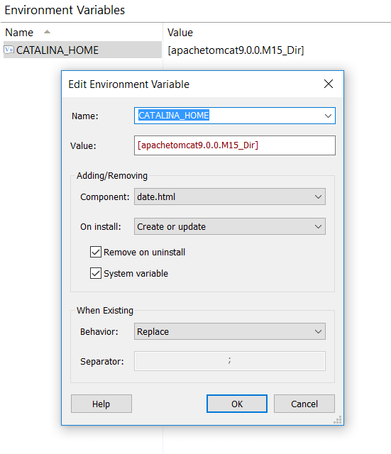 Environment Variable