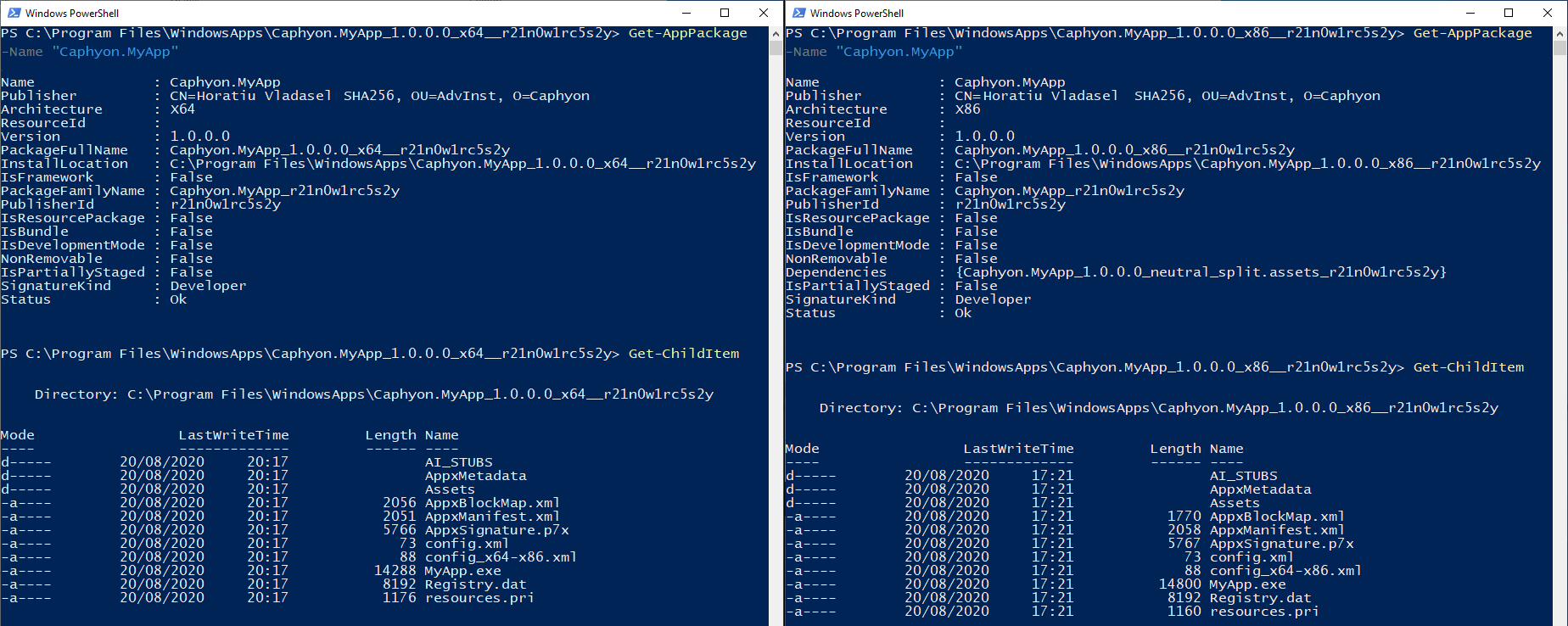 Msix bundle installed