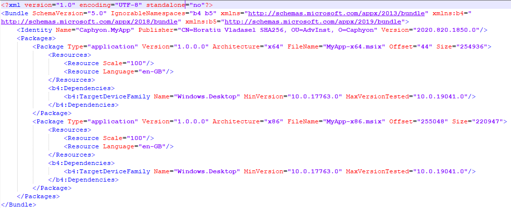 Opened manifest msix bundle